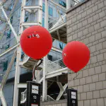 pictures from the birthday party