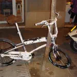bicing in disguise